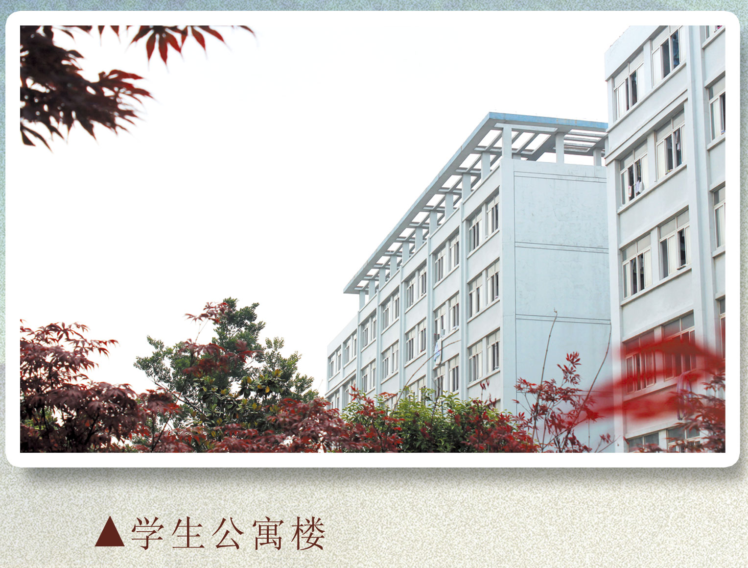 基础设施篇学生公寓